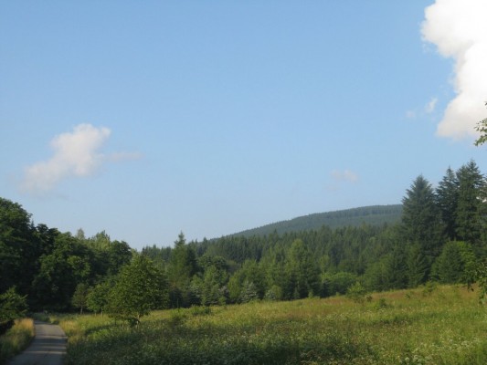 Focena cca 2 km od železniční stanice v Branné, v údolí říčky Branná (směr na Ostružnou). (50°9'53.509"N, 17°1'52.001"E)