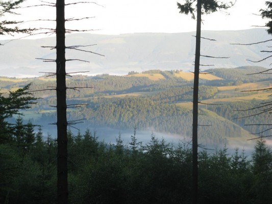 Foto 6: Pohled od údolí – Branná – Ostružná